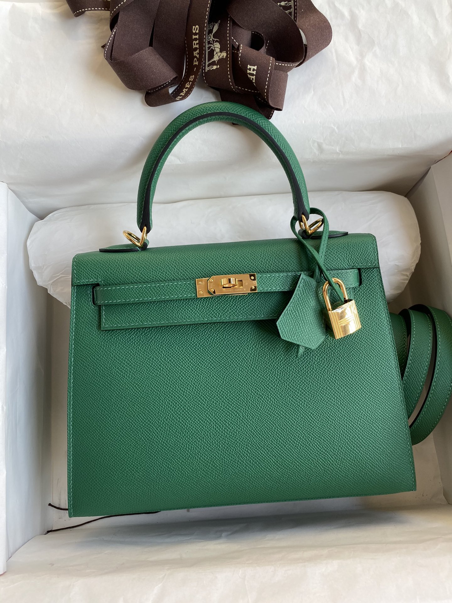 Hermes Kelly 25cm Handbag Shoulder Bag in Vert Vertigo Epsom Leather